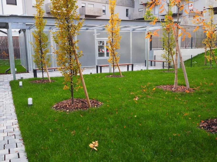 Cityheart Constellation Avec Parking Strasbourg Eksteriør bilde